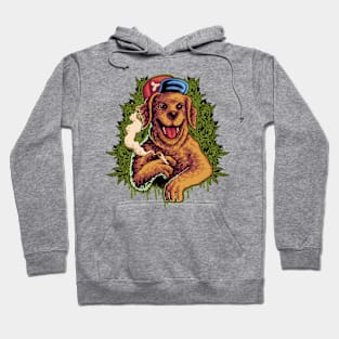 Dog Smoking Weed Hoodie